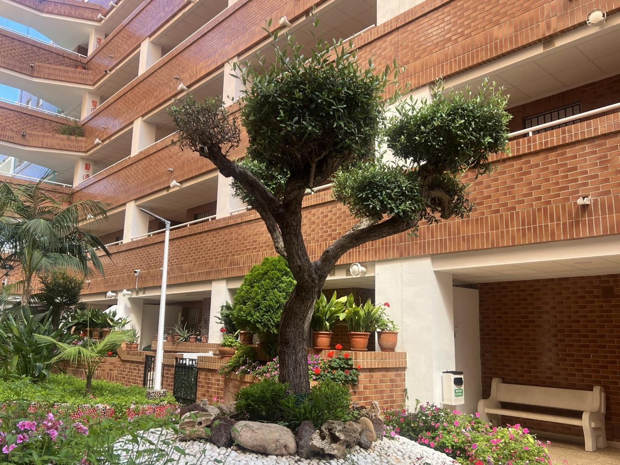 Apartamentos Marina Park 오로페사델마르 외부 사진